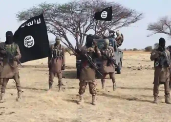 Terrorists Storm Benisheikh Again, March Toward Military Base In Borno