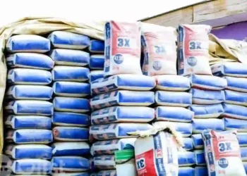 FG Restricts Importation of Cement, Poultry, Pharmaceuticals, Others as New 2026 Trade Policy Takes Effect