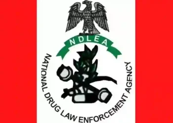 NDLEA Seizes ₦724.5m Worth of Skunk in Edo, Arrests Five Suspects