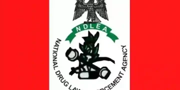 NDLEA Seizes ₦724.5m Worth of Skunk in Edo, Arrests Five Suspects