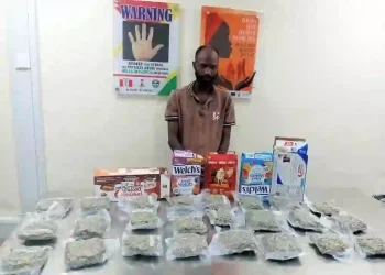 NDLEA Foils Cocaine Shipment to UK, Makes Multiple Arrests in Nationwide Crackdown