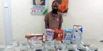 NDLEA Foils Cocaine Shipment to UK, Makes Multiple Arrests in Nationwide Crackdown