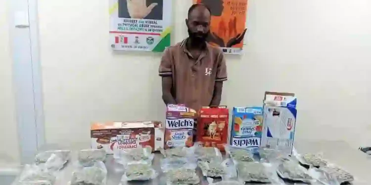 NDLEA Foils Cocaine Shipment to UK, Makes Multiple Arrests in Nationwide Crackdown