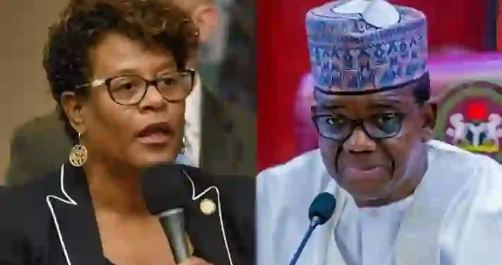 US-Based Nigerian Coalition Faults Lawmaker’s Call for Matawalle’s Removal