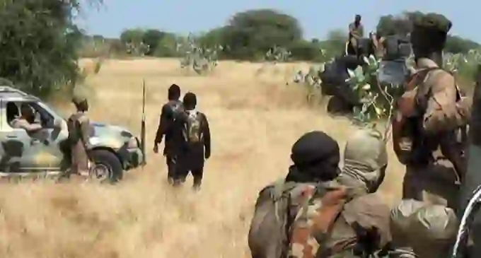 Deadly Clashes Erupt as Boko Haram and ISWAP Intensify Fighting in Sambisa Forest