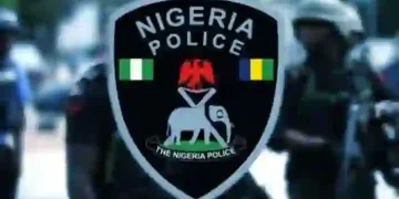 Suspected Boko Haram Fighters Attack Niger Police Camp, Kill Two Officers