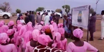 Borno Shuts Mussa School, Relocates Students After Abduction of 42 Pupils