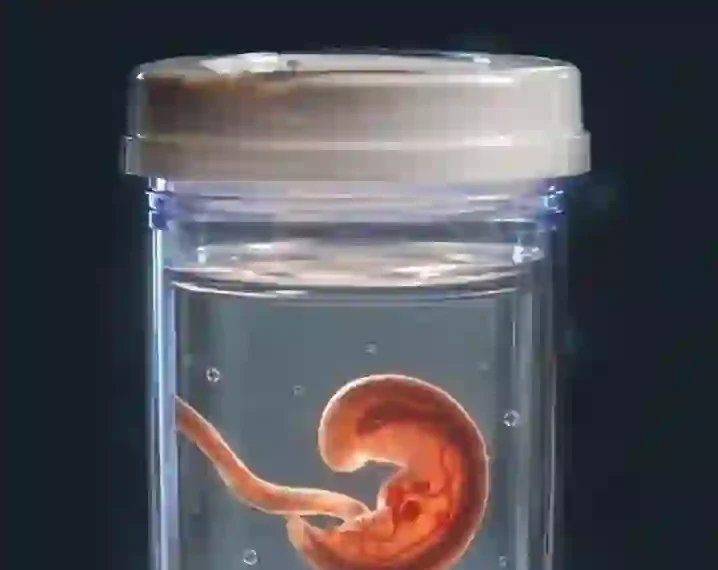 Israeli Citizen Nabbed In Alleged Embryo Trafficking Operation