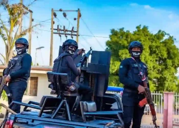NSCDC Busts Syndicate Vandalizing Railway Tracks, NNPC Pipelines; 12 Suspects Arrested