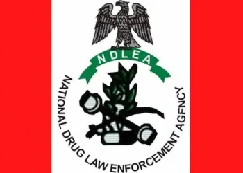NDLEA Intercepts Netherlands-Bound Drugs Concealed in Water Purifiers, Makes Major Seizures Nationwide