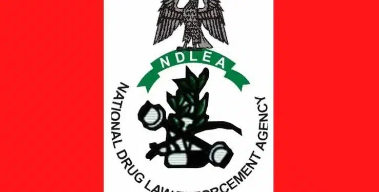 NDLEA Intercepts Netherlands-Bound Drugs Concealed in Water Purifiers, Makes Major Seizures Nationwide