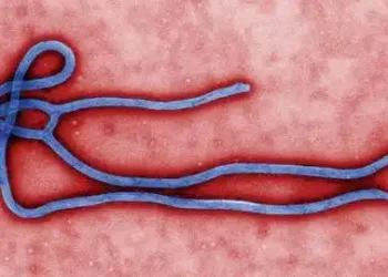**Fresh Ebola Outbreak Claims 65 Lives**