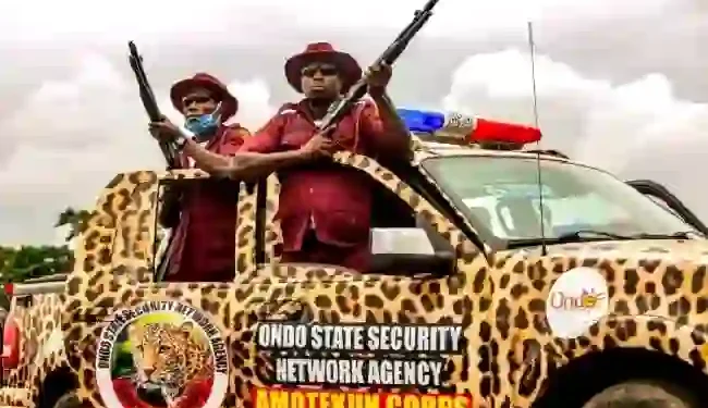 Afenifere Calls For Immediate Upgrade Of Amotekun To State Police Amid Escalating South-West Insecurity