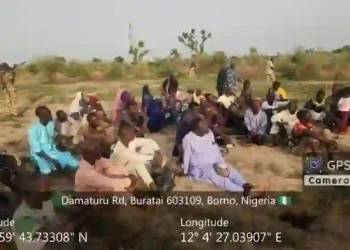 Nigerian Troops Rescue 53 Civilians from Boko Haram Roadblock in Borno