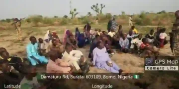 Nigerian Troops Rescue 53 Civilians from Boko Haram Roadblock in Borno