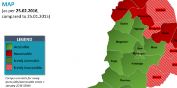 Borno cholera outbreak kills 39 in 24 hours as 272 new cases emerge