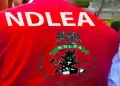 NDLEA Urges Nigerians Struggling With Drug Addiction to Seek Professional Help