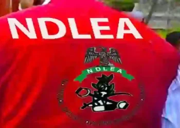 NDLEA Urges Nigerians Struggling With Drug Addiction to Seek Professional Help