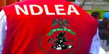 NDLEA Urges Nigerians Struggling With Drug Addiction to Seek Professional Help