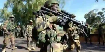 Group Hails Rescue of 360 Captives, Urges Security Agencies to Free Remaining Victims