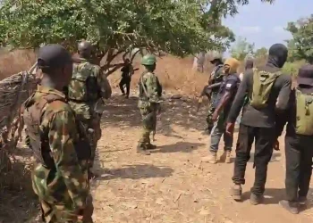 11 Abducted Women Regain Freedom as Borno Celebrates More Rescue Successes