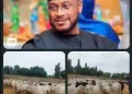 Insecurity: Governor Dauda Lawal Commends Troops for Recovering Ammunitions, Rustled Cattle