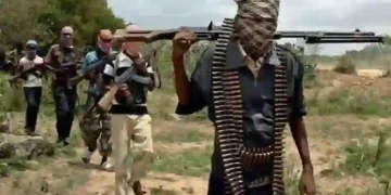 Gunmen Storm Oyo Immigration Office, Disarm Officers in Night Attack