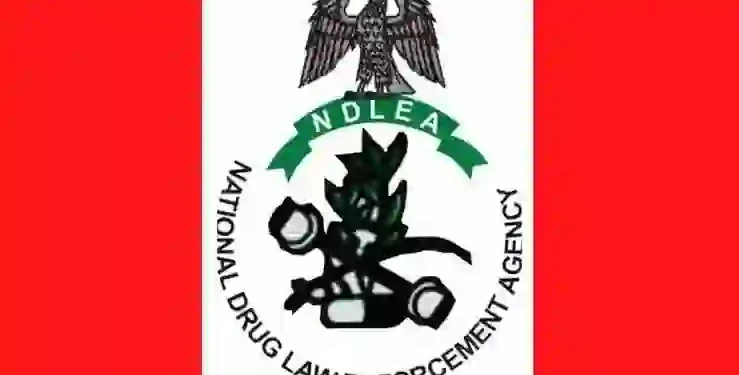 NDLEA Arrests Businessman Over Cocaine-Infused Clothing at Lagos Airport