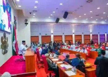 Senate Begins Debate on State Police, Other Key Constitutional Reforms
