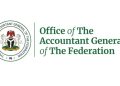 Fake Presidential Council Never Touched a Kobo, Has No Account With CBN Accountant-General Insists