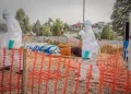 Ebola Death Toll in DR Congo Rises to 600