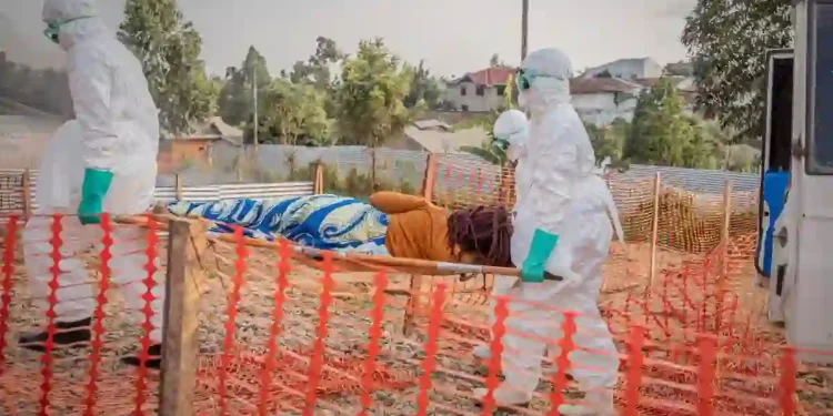 Ebola Death Toll in DR Congo Rises to 600