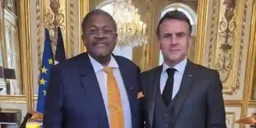 France Eyes Mike Adenuga for New Cultural Centre Partnership in Abuja