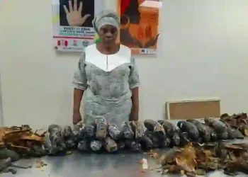 NDLEA Intercepts 67-Year-Old Nigerian-British Woman With 13kg Cocaine Hidden in Fake Plantain Peels
