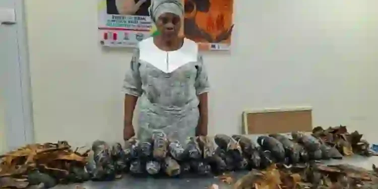 NDLEA Intercepts 67-Year-Old Nigerian-British Woman With 13kg Cocaine Hidden in Fake Plantain Peels