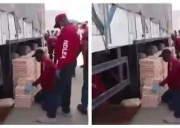 NDLEA Intercepts 1.5 Million Tramadol Pills Smuggled Into Nigeria From Togo