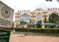 Viral Kisskids Diaper Video Sparks Fresh Calls for NAFDAC Investigation Into Product Safety