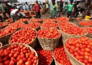 Nigeria May Face Rice, Tomato Shortages Within Three Months – OTACCWA