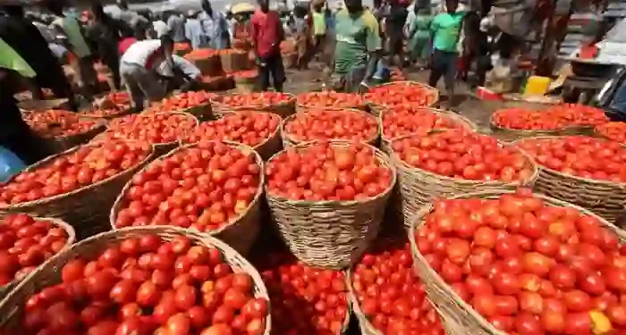 Nigeria May Face Rice, Tomato Shortages Within Three Months – OTACCWA