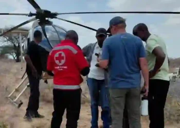 Helicopter Crash in Kenya Kills Five Americans, Ecuador Intelligence Chief and Wife