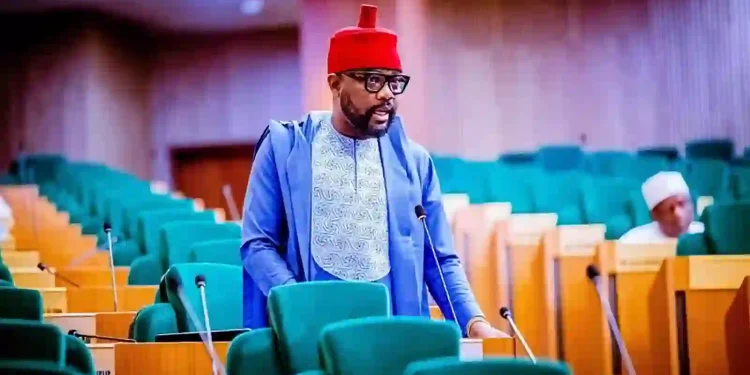 Ugochinyere Backs West Africa Fuel Price Benchmark