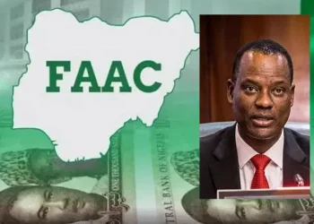 Oyedele: States Must Look Beyond Federal Allocations for Economic Prosperity