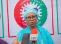 Jonathan’s 2015 Concession Saved Nigeria’s Democracy — Nenadi Usman