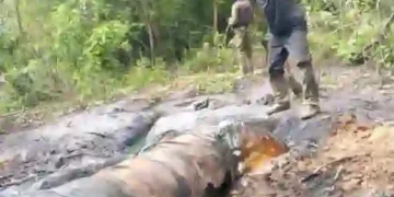 Navy Destroys 2 Illegal Refineries, Recovers 85,000 Litres of Stolen Crude in Rivers