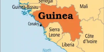 Guinea suspends France 24 broadcast over comments about president