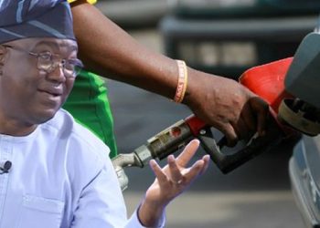 Olawepo-Hashim: Petrol Can Sell for N605/Litre, Subsidy Is Accounting Magic