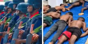 NSCDC Custody Deaths: SOJA Demands Independent Probe Into 37 Suspected Illegal Miners