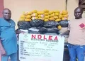 NDLEA seizes N3.4bn worth of drugs, arrests fake police officer, others