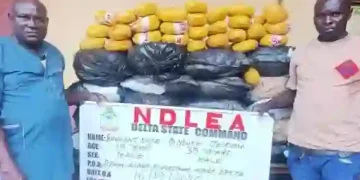 NDLEA seizes N3.4bn worth of drugs, arrests fake police officer, others