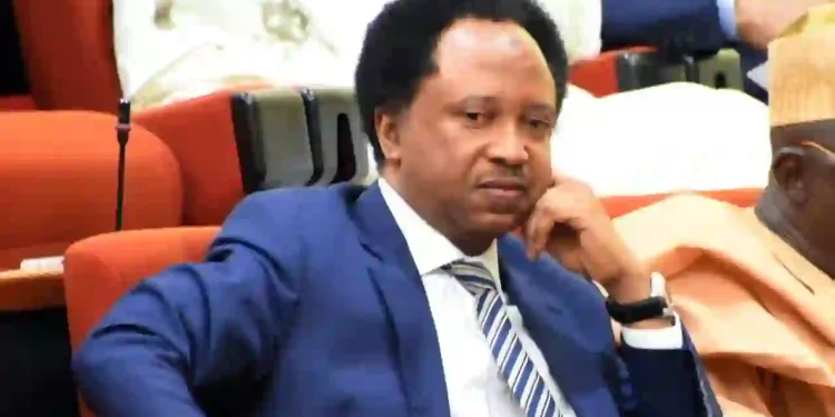 2027: Atiku victory would end rotational presidency, Shehu Sani says